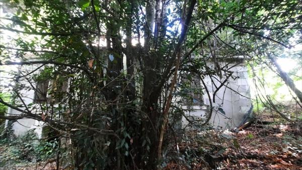 Maison à restaurer à vendre à Vicq-sur-Nahon dans l'Indre (36600), ref : 021/1557