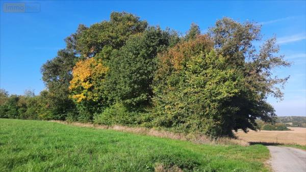 Maison à restaurer à vendre à Vicq-sur-Nahon dans l'Indre (36600), ref : 021/1557