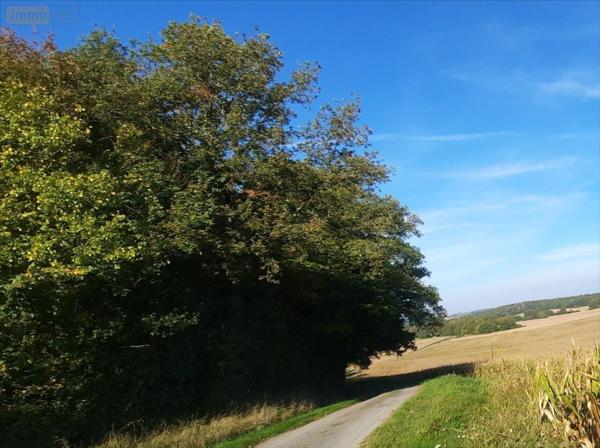 Maison à restaurer à vendre à Vicq-sur-Nahon dans l'Indre (36600), ref : 021/1557