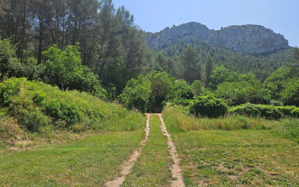 Maison à vendre    7 pièces • 356 m2 Auriol