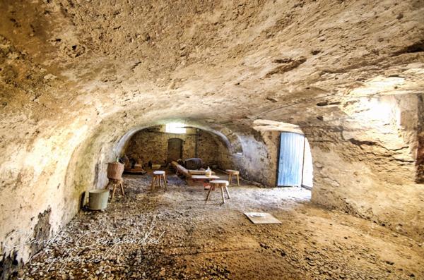 Propriété de charme en bord de rivière, avec activité de gîte proche de CHANTONNAY (85)