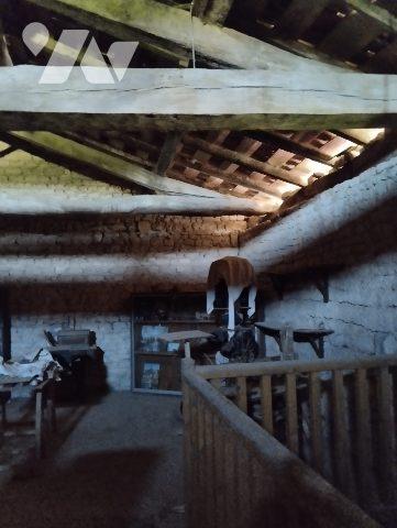 ENSEMBLE IMMOBILIER avec 1 hectare de TERRAIN