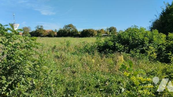 ENSEMBLE IMMOBILIER avec 1 hectare de TERRAIN