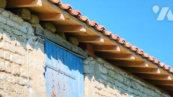 ENSEMBLE IMMOBILIER avec 1 hectare de TERRAIN