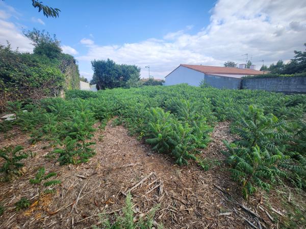 Sainte-Gemme-la-Plaine (85400) Bâtisse en pierre à rénover avec beau jardin de 1216m2.