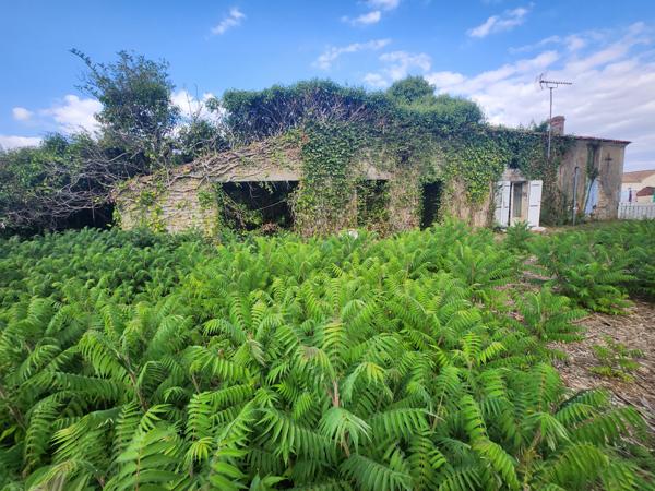 Sainte-Gemme-la-Plaine (85400) Bâtisse en pierre à rénover avec beau jardin de 1216m2.