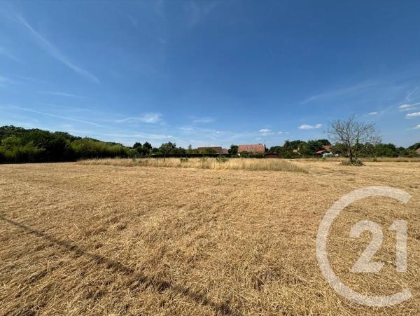 Terrain à vendre  1281 m 2   LA FERTE IMBAULT  - 41