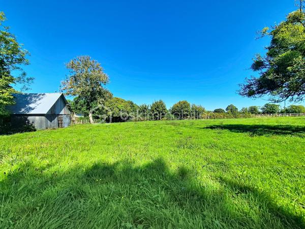 Vous avez un projet de construction dans le Calvados et vous recherchez un terrain entre Pont-L'Evêque et Beuzeville ? Alors cette parcelle devrait répondre à vos besoins ! D'une superficie de 1 493 m² et bien exposée, elle bénéficie d'un bâtiment de stockage ainsi que d'une petite mare (qui sera à conserver). Terrain non viabilisé (réseaux en bordure).
Contactez moi pour plus de renseignements et pour convenir d'une visite !