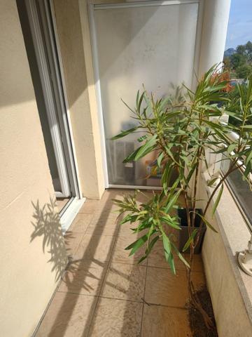 Appartement
                                                                                                                                                                                                                                                                                                                        1 pièce(s)                                                                                                                                                                                                                                                                                                                              18  m²