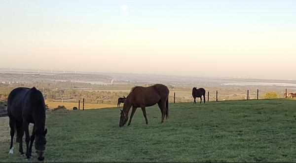 Saint-Julien-le-Faucon (14140) PROPRIETE de 14 pièces avec terrain, piscine et VUE REMARQUABLE
