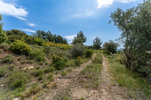 Terrain Agricole à vendre (83) - Vue panoramique - Accès facile - Alimentée par le canal de Provence
