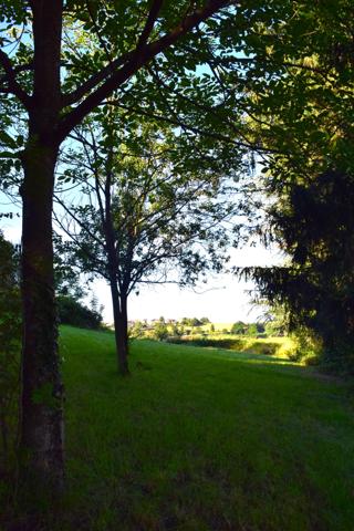 Vente / Terrain constructible