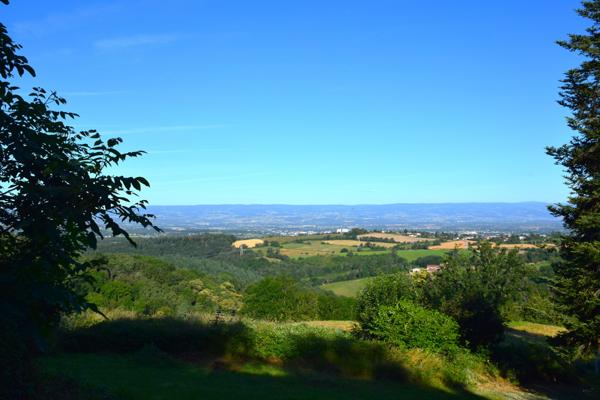 Vente / Terrain constructible