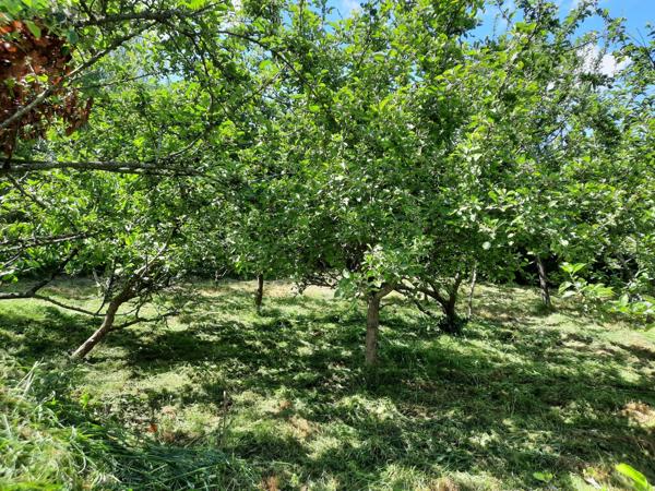 RARE A 5 MINUTES GARE ST MEDARD & St AUBIN D AUBIGNE MAISON T6/ 7 Sud 113m² 3/4 Ch & Belle pièce de vie