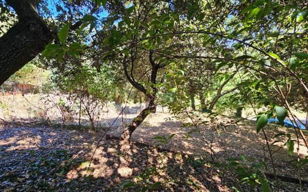 Terrain à vendre    Sainte-Anastasie