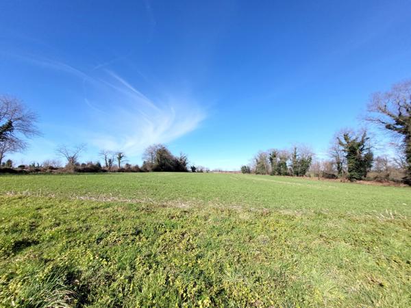 Morlaàs (64160) Ancienne ferme / Hangar / Terres agricoles - commune Ouillon