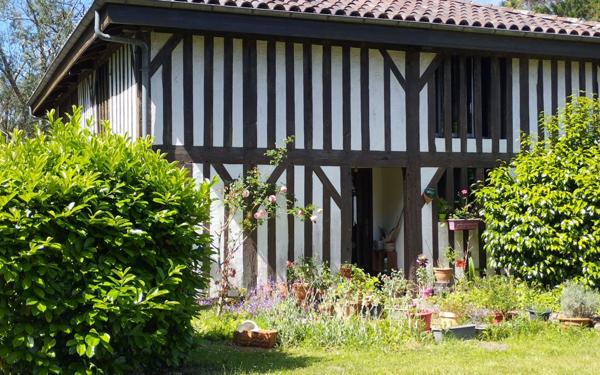 Maison à vendre    12 pièces •  Linxe