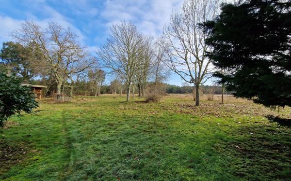 Maison à vendre    12 pièces •  Linxe