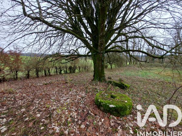 Maison à vendre 4 pièces 100 m² Valzin en Petite Montagne