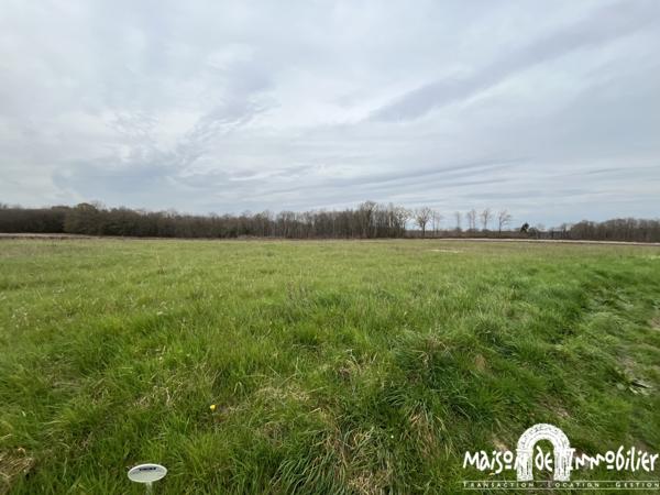 Vente Terrain à bâtir de 1054m² - Commune de CHÉRAC