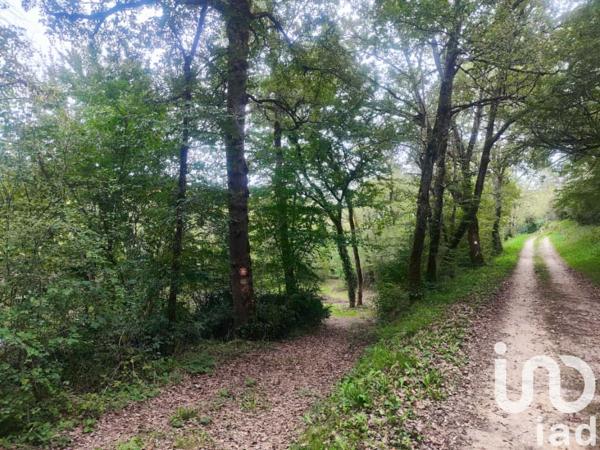 Maison à vendre 5 pièces 159 m² Montricoux