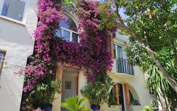 Maison à vendre    7 pièces •  Le Cannet