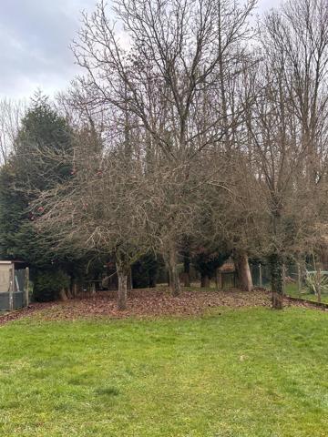 Terrain arboré constructible a vendre