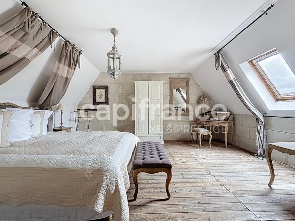 Local commercial - Chambres d'hôtes au coeur de Langeais 420 m², 8 chambres
