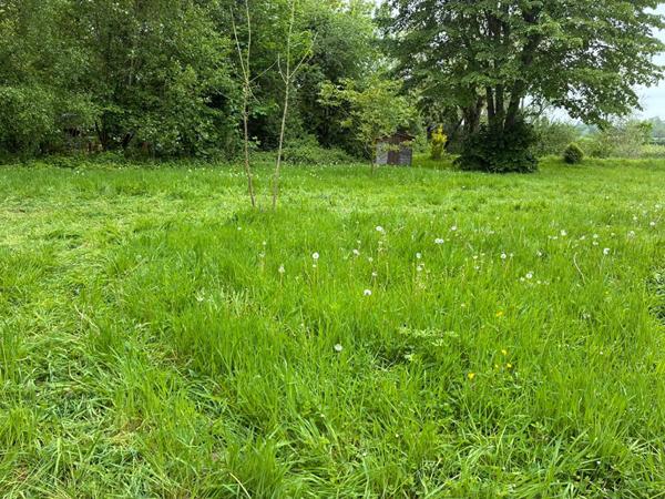 Terrain de loisirs Villers Sur Authie