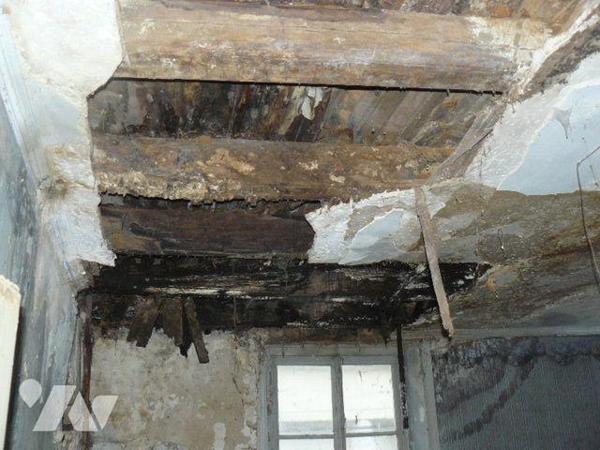 Immeuble à vendre à La Vôge les Bains (88240) en Vosges (88)

Cet immeuble à rénover dispose ...