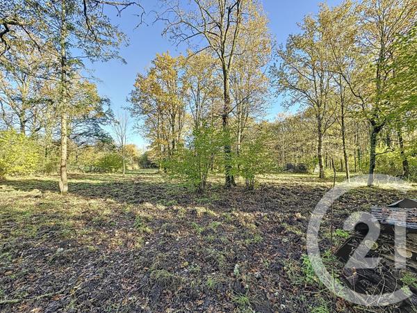 Maison à vendre  10 pièces - 251,50 m2 NOUAN LE FUZELIER - 41