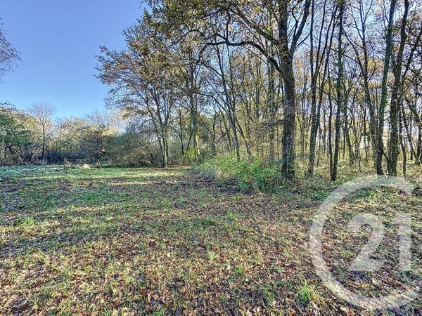 Maison à vendre  10 pièces - 251,50 m2 NOUAN LE FUZELIER - 41