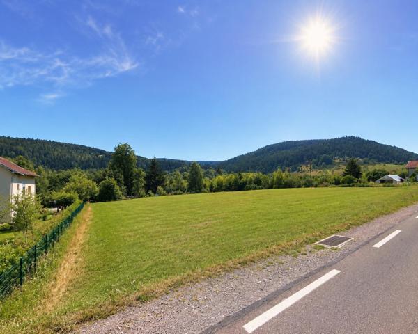 Gérardmer Terrain commercial activités économiques
