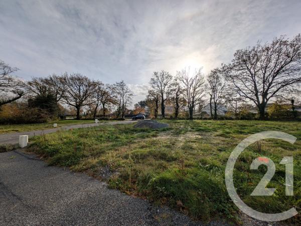 Terrain à vendre  480 m2 PEAULE - 56