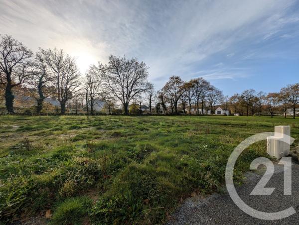 Terrain à vendre  480 m2 PEAULE - 56