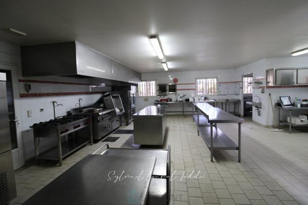MAISON DE MAITRE RENOVEE ET OUTIL PROFESSIONNEL CLE EN MAIN SUR PLUS DE 10 HECTARES