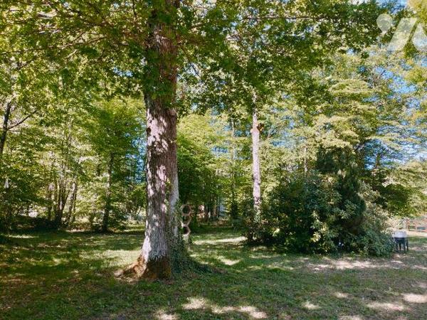 L'étude vous propose cette maison pleine de charme située au calme dans un écrin de verdure