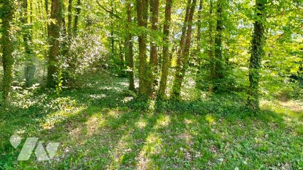 L'étude vous propose cette maison pleine de charme située au calme dans un écrin de verdure