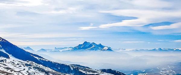 À ACHETER TERRAIN 10 000 m² SAINT HONORÉ