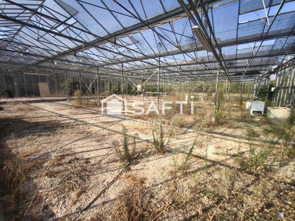 Propriété d'Exception à Roussillon: Domaine Privé avec Potentiel Agricole