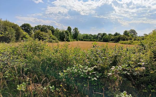 Terrain à vendre    Pruniers-en-Sologne