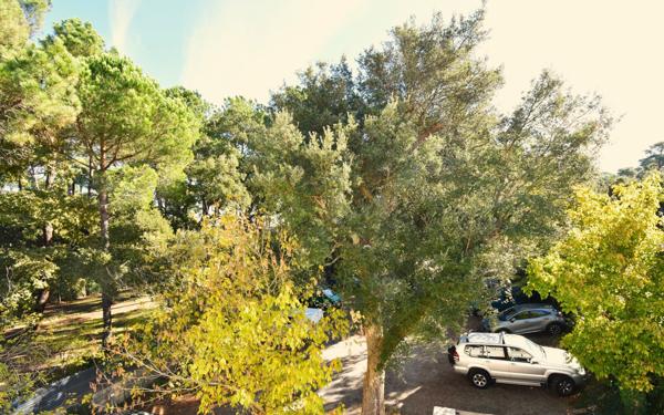 Appartement à vendre    2 pièces • 33 m2 Capbreton