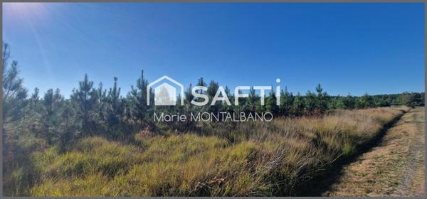 Grand terrain forestier 6h à Biganos