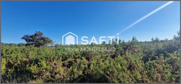 Grand terrain forestier 6h à Biganos