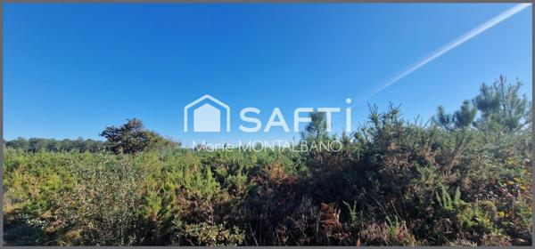 Grand terrain forestier 6h à Biganos