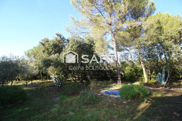 Maison 5P de 127 m2 + garage sur terrain de 4500 m2