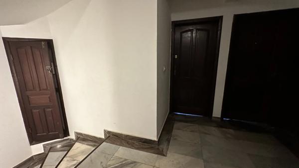 Immobilier Cayenne (97300) – Ensemble immobilier 570m2 – 1 050 000 €