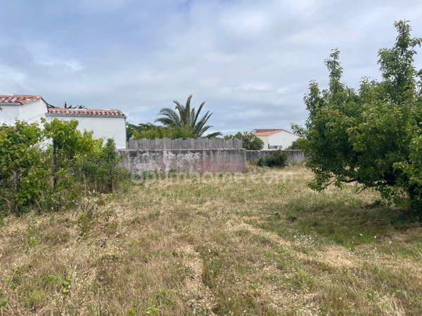 Maison à vendre 4 pièces LE BOIS PLAGE EN RE (17580)