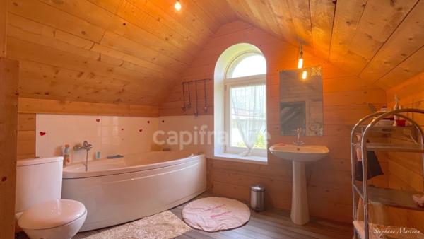 SAVOIE (73), à vendre vallée de La Maurienne, maison atypique (ancienne usine), P12 de 450m², terrain 3500m², Gîte