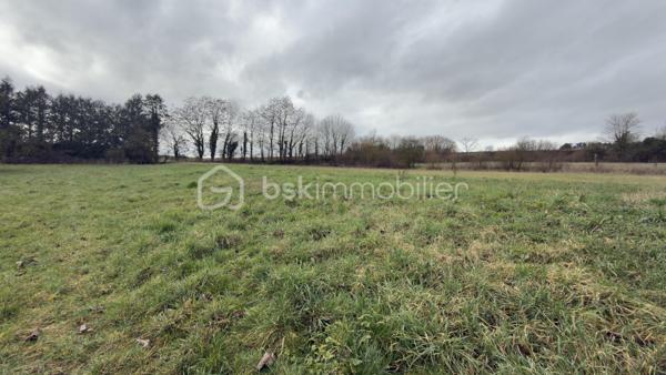 Propriété de caractère avec plus d’un hectare de terrain à 5 minutes de Saint-Quentin

À seulement quelques minutes de Saint-Quentin, découvrez cette magnifique propriété offrant un cadre de vie exceptionnel, au calme, sans renoncer à la proximité immédiate des commodités.

Derrière son portail, cette demeure développe environ 225 m² habitables et s’implante sur plus d’un hectare de terrain, un véritable privilège pour les amoureux de nature, d’espace et de tranquillité.

Dès l’entrée, vous serez séduits par les volumes généreux et la luminosité des pièces. Le rez-de-chaussée propose une vaste pièce de vie chaleureuse avec cheminée, idéale pour recevoir famille et amis, une grande cuisine aménagée et équipée, une suite parentale, une salle de bain, un WC indépendant ainsi qu’une pièce supplémentaire pouvant devenir chambre, bureau ou espace loisirs selon vos besoins.

À l’étage, un superbe palier cathédrale distribue deux grandes chambres, un dressing et une seconde salle de bain.

À l’extérieur, la propriété révèle tout son potentiel. Le terrain de plus de 11 000 m² offre de multiples possibilités : chevaux, animaux, projet familial, piscine, potager ou simplement le plaisir de profiter d’un environnement privilégié à l’abri des regards.

Les dépendances complètent parfaitement l’ensemble et permettront d’accueillir une activité professionnelle, un atelier, du stockage, des véhicules de collection ou tout autre projet nécessitant de l’espace.

Rare sur le secteur, cette propriété séduira les acquéreurs à la recherche d’un véritable havre de paix, tout en restant à moins de 5 minutes des commerces, écoles et axes principaux.

Une visite suffit pour comprendre le caractère unique de ce bien.